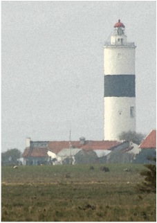 Site logo